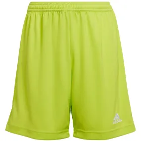 Adidas Junior Entrada 22 Shorts - Lime