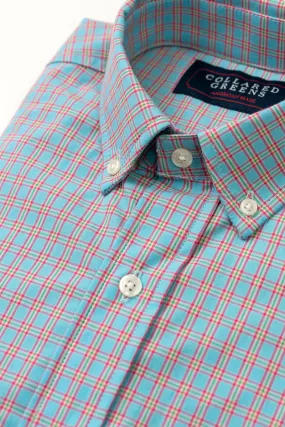 Cary: Brookline Button Down - Blue/Pink (S)