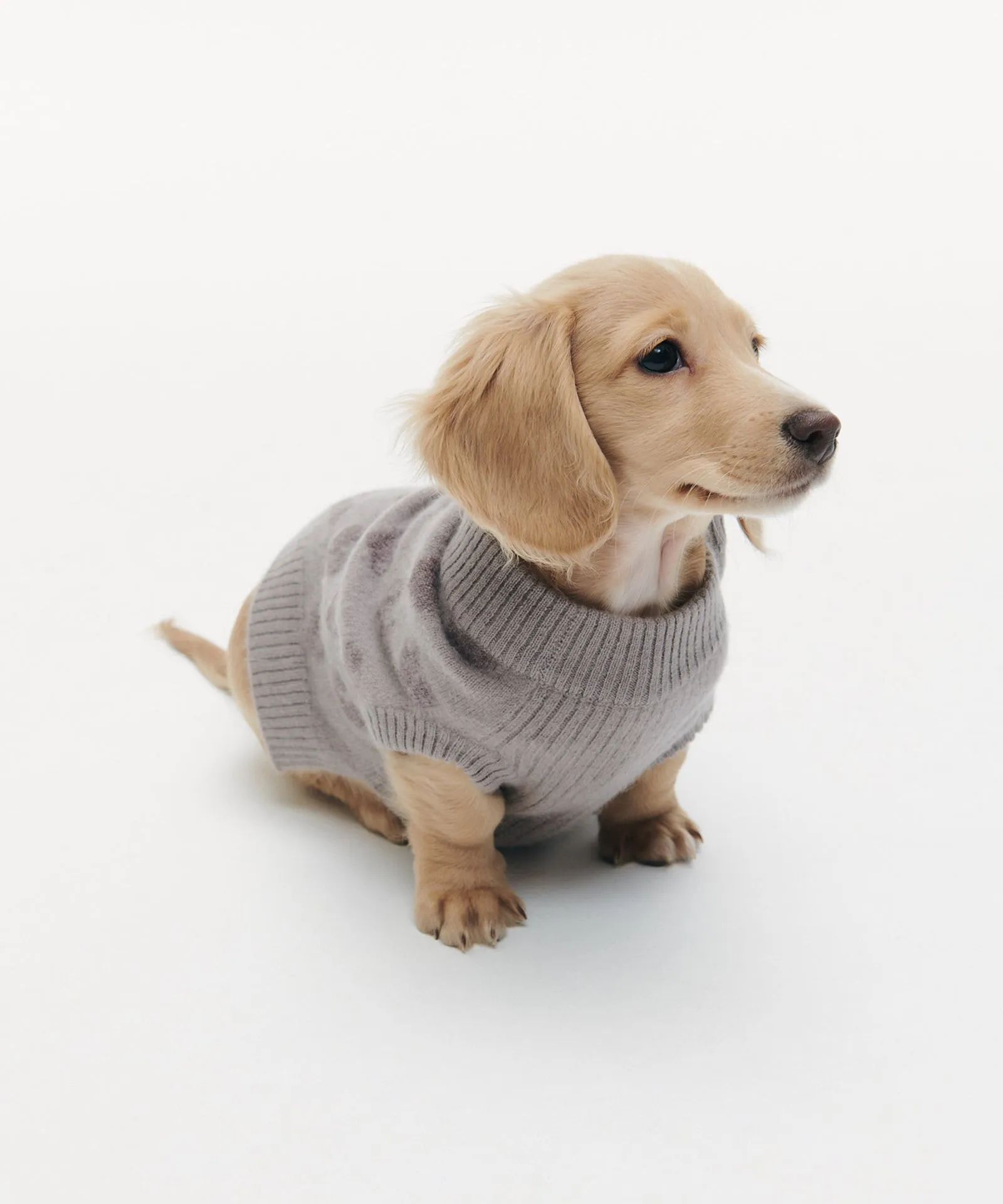 Cashmere Heart Dog Sweater