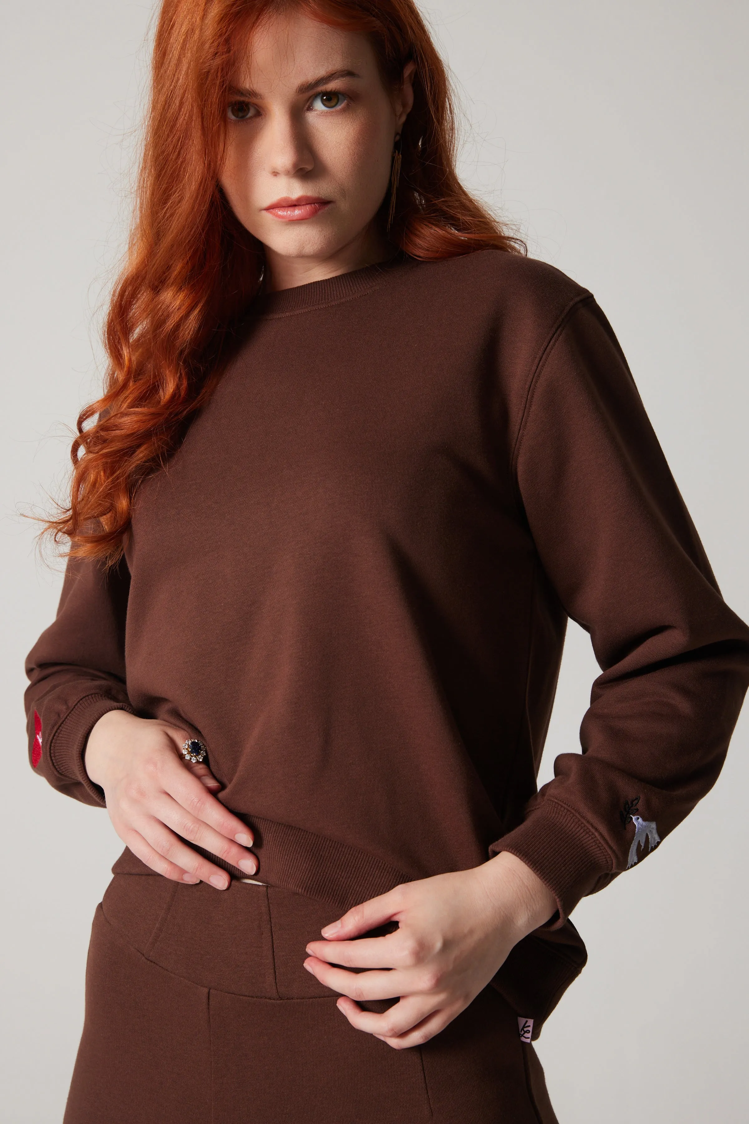 Embroidered Sweatshirt - Brown