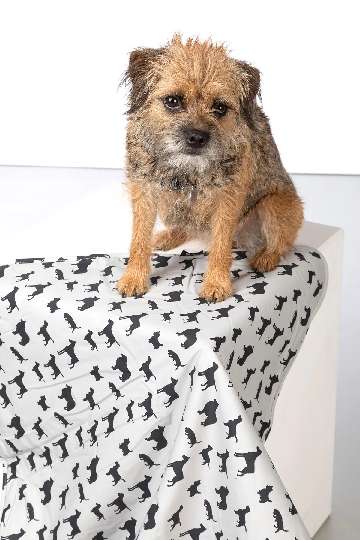 Fleece Dog Blanket - Yapham