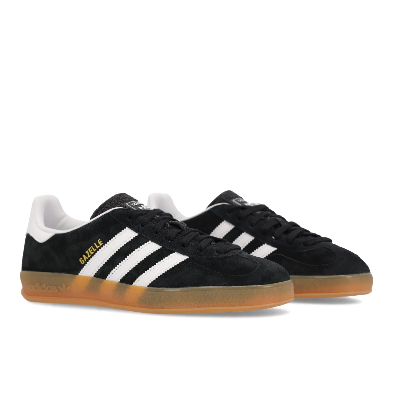 Gazelle Indoor