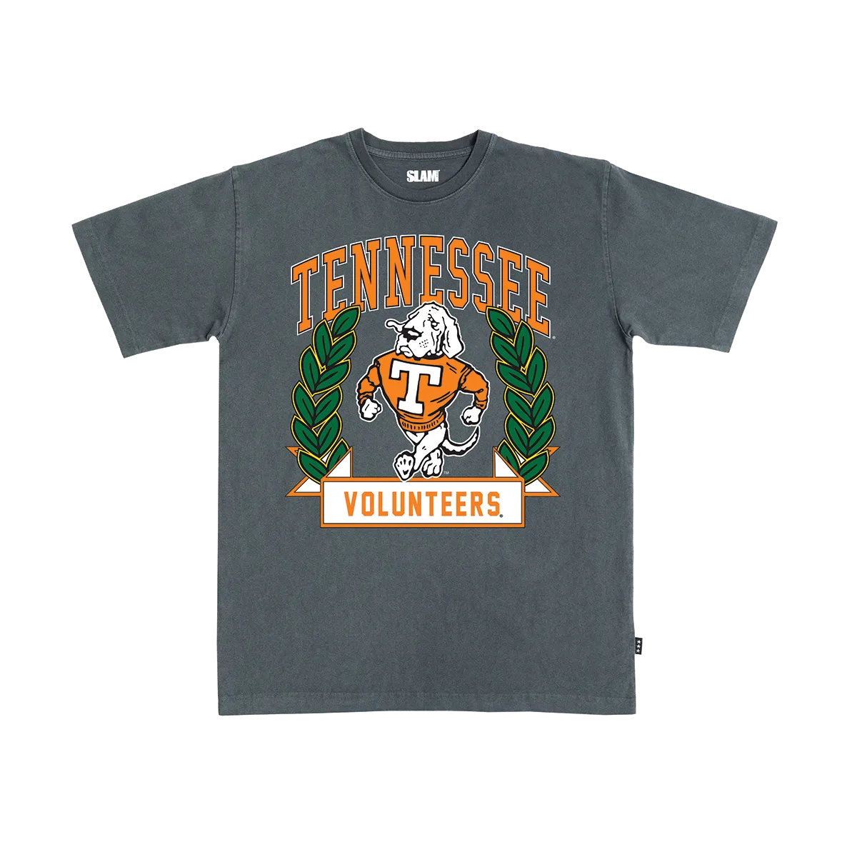 Tennessee Collegiate Heavy Tee